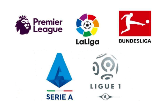 提供了更多 提供了更多